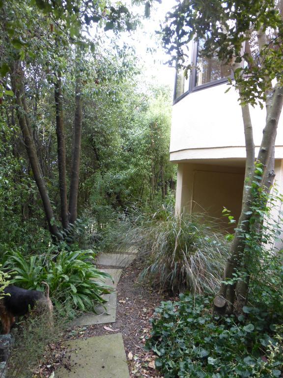 Oamaru House Bed & Breakfast Luaran gambar