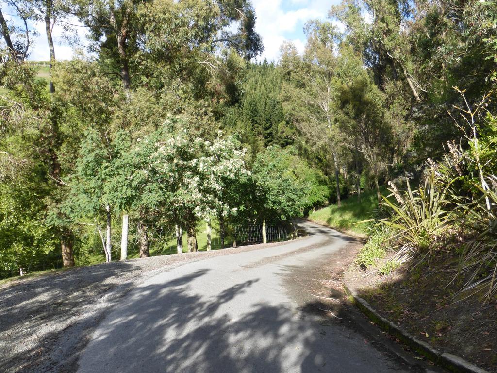 Oamaru House Bed & Breakfast Luaran gambar