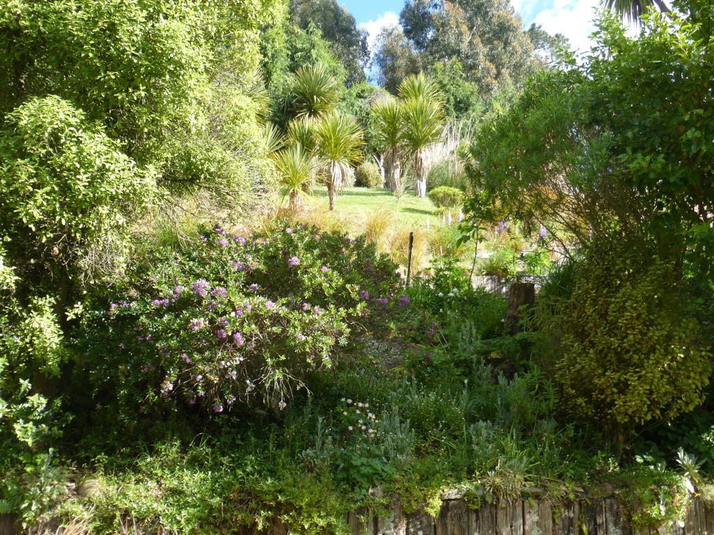 Oamaru House Bed & Breakfast Luaran gambar